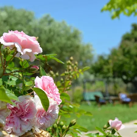 Kalimera Private Pool *