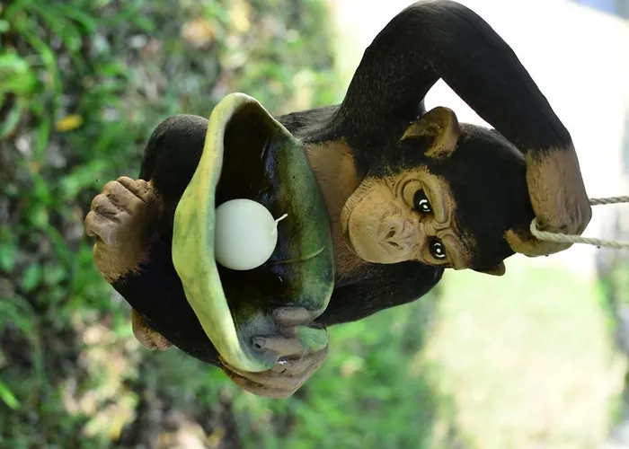 Casa vacanze Kalimera Private Pool *