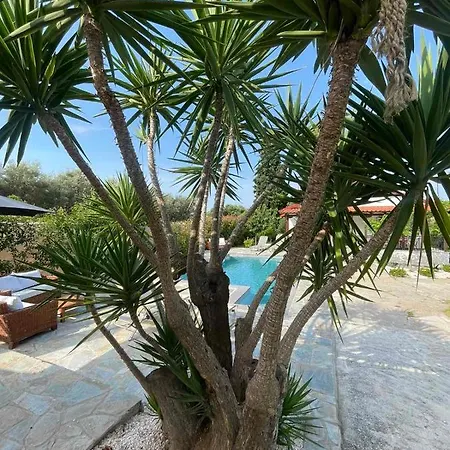 Kalimera Private Pool 펜션 *