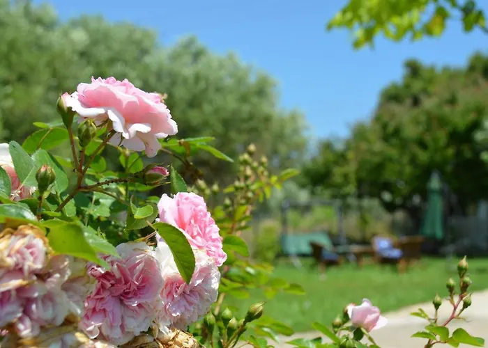 Kalimera Private Pool *